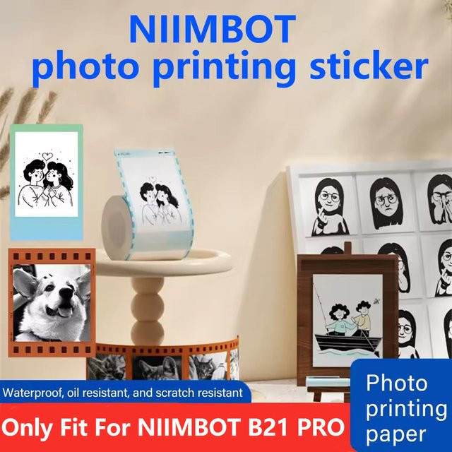 Niimbot Farb-Thermoetikettenpapier für B21 Pro Drucker, selbstklebendes Fotopapier in Multicolor und Weiß - Bild 1