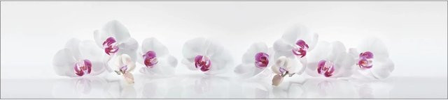 MySpotti Küchenrückwand Profix Cucina Orchidee in Lila-Weiß, B: 270 cm, H: 60 cm - Bild 1