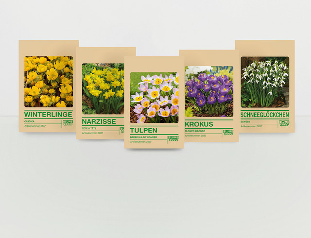 Blumenzwiebel Set Frühlingsboten von BLUME2000 mit 65 Zwiebeln für den Garten - Bild 1