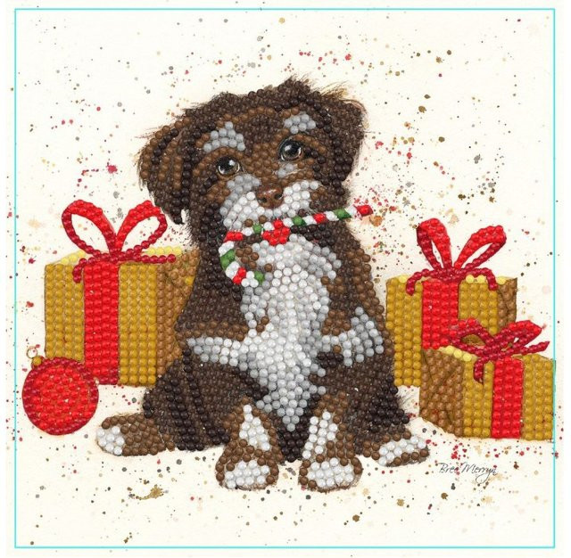Maxi-Karten-Set Diamonds von Scamp - Bild 1