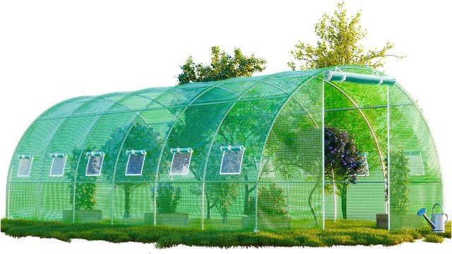 GARMIO Foliengewächshaus CARINI winterfestes Tomatenzelt für Gemüse, Obst und Blumenbeete, B/T/H: 6 x 3 x 2 m - Bild 2
