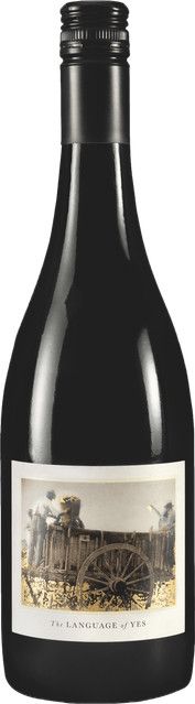 The Language of Yes Syrah 2022 Rotwein, USA, 0,75 l - Bild 1