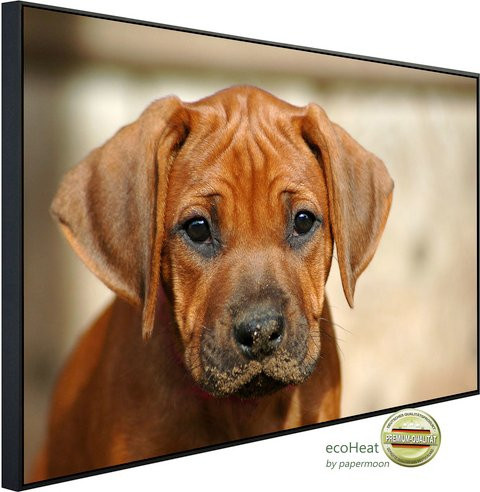 papermoon EcoHeat Infrarotheizung Rhodesian Ridgeback Welpe, bunt mit Matt-Effekt, App-Steuerung und Überhitzungsschutz - Bild 1