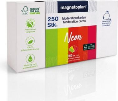 Magnetoplan Neon Moderationskarten farbsortiert, rechteckig, B: 20 cm, H: 10 cm, 250 Stück - Bild 2