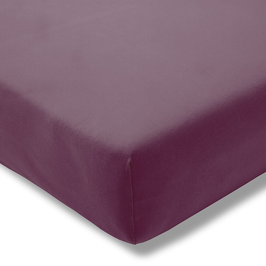 Estella Spannbetttuch aus Feinjersey in Pink und Purple, B/T: 200 x 200 cm - Bild 1