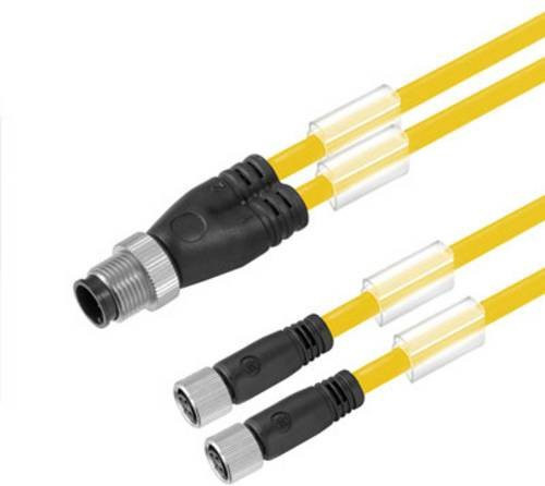Weidmüller Sensor-Aktor-Steckverbinder M12 Stecker gerade und Buchse gerade, gelb, Kabellänge: 3,00 m - Bild 1