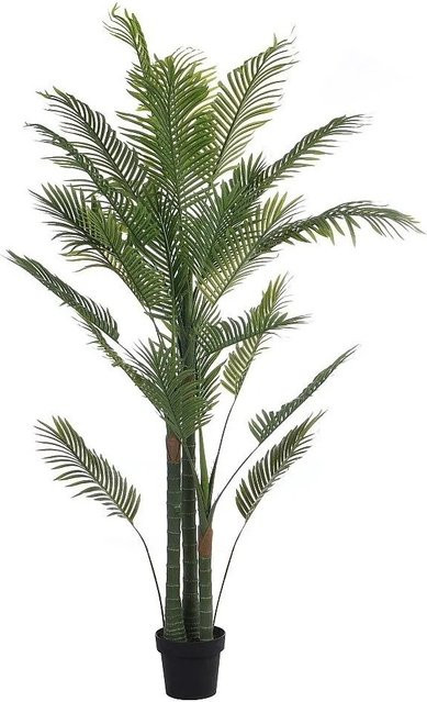 Vente-unique Kunstpalme Coconut in Grün, Höhe: 80 cm - Bild 1