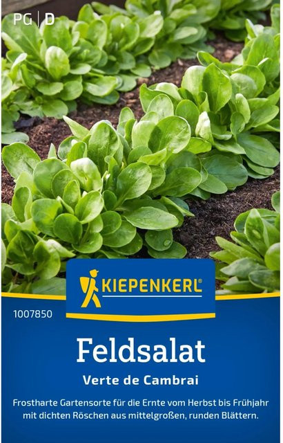 Kiepenkerl Feldsalat Verte de Cambrai Saatgut - Bild 1