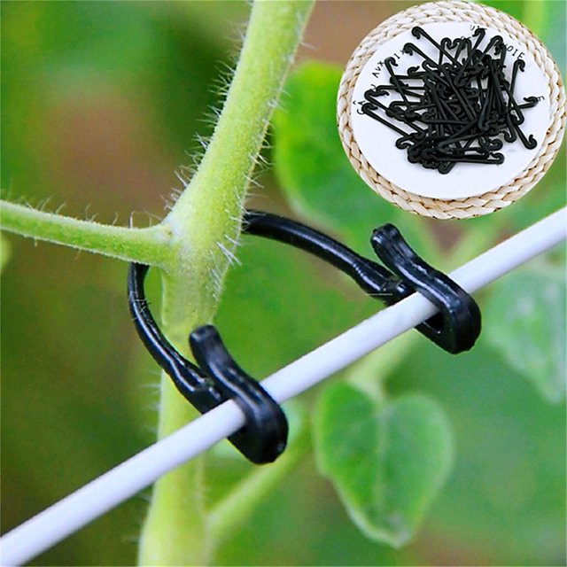 Pflanzenhalter Clips aus Kunststoff mit Schnalle und Haken in Schwarz zur Unterstützung von Reben, Trauben und Gemüse im Garten - Bild 1