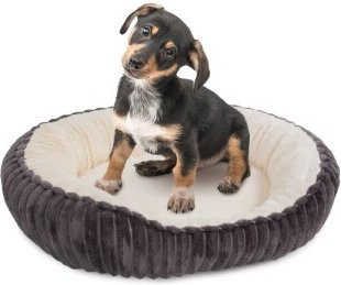 Wallace & Jones Hundebett Cameron S aus Cord und Samt mit rutschfester Unterseite in Anthrazit, Beige und Grau - Bild 1