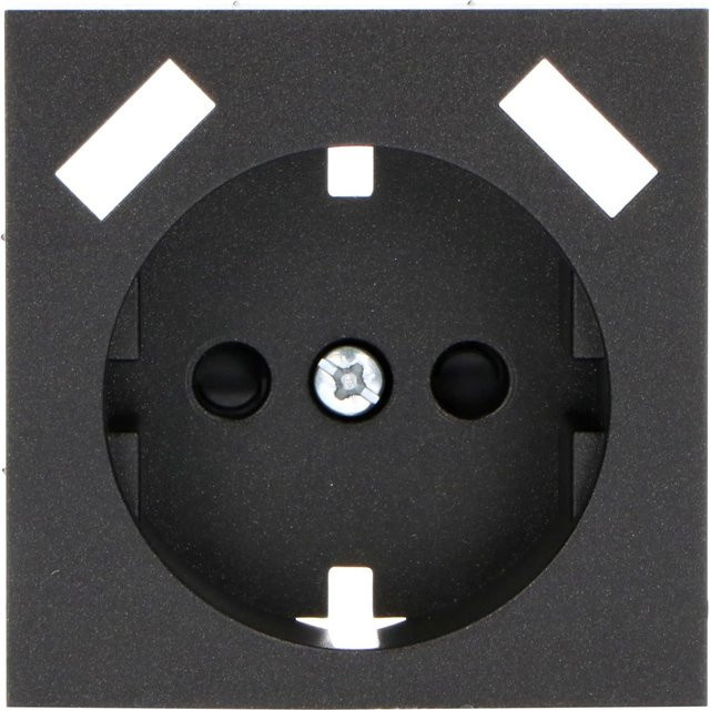 ProCharge Steckdoseneinsatz mit 2x USB-A in Schwarz - Bild 1