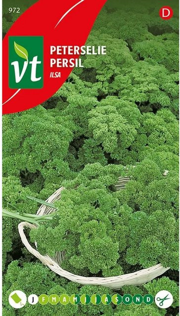 Petersilie Ilsa Saatgut arborix 3 g - Bild 1