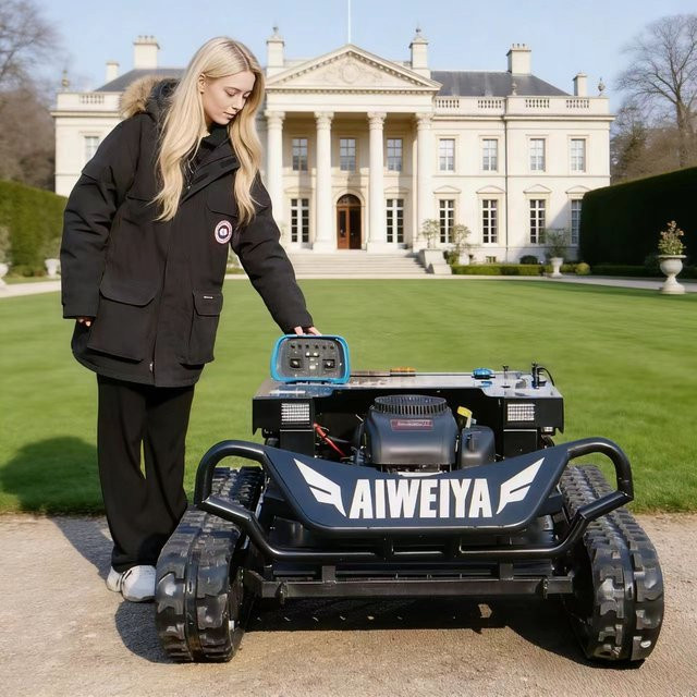 TONGZHONG Benzin-Rasenmähroboter in Schwarz - Bild 1