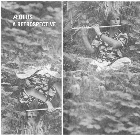 Schallplatte Aloha Got Soul von AEOLUS - A Retrospective, Vinyl LP, Electronic, Grau, 2017 - Bild 1