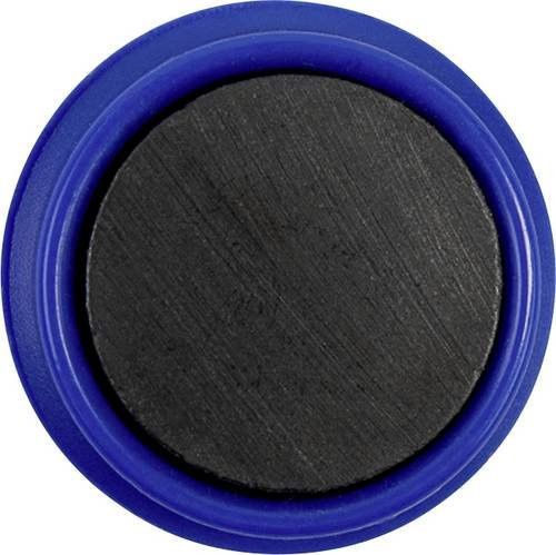 Magnetoplan Magnet Basic Serie runde Magnete aus Ferrit und Kunststoff, Durchmesser: 24 mm, Blau, 10 Stück - Bild 1