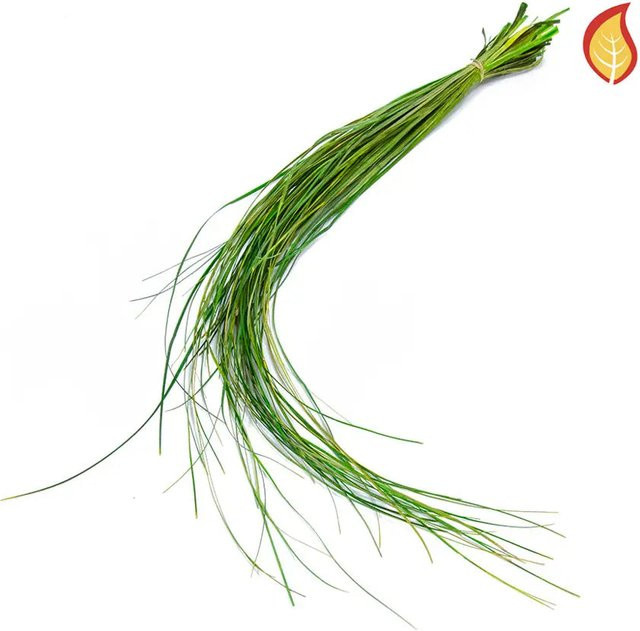 Aplanta Künstliches Gras Niels, Höhe: 65 cm - Bild 1