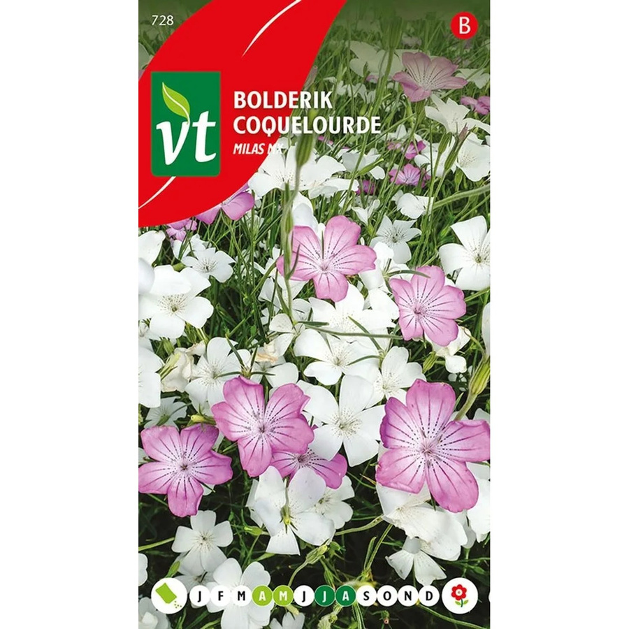 Arborix Kronen-Lichtnelke Samen Mix mit bunten Blüten, 1,5 g - Bild 2