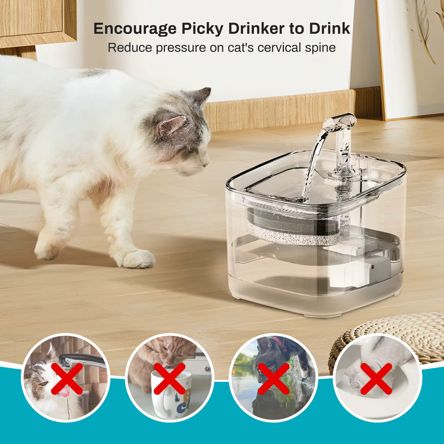 ZYfeeder Automatischer Katzen- und Hundewasserspender mit sichtbarer Filtration, transparent, 2,2 l - Bild 2