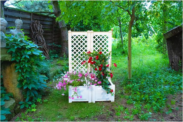 KHW Pflanzkasten mit Spalier 2er-Set, weiß, Breite: 43 cm - Bild 2