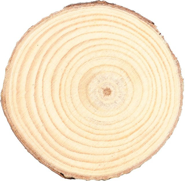 Runde Holzscheiben aus Kiefer in Beige für DIY Bastelarbeiten und Dekorationen - Bild 1