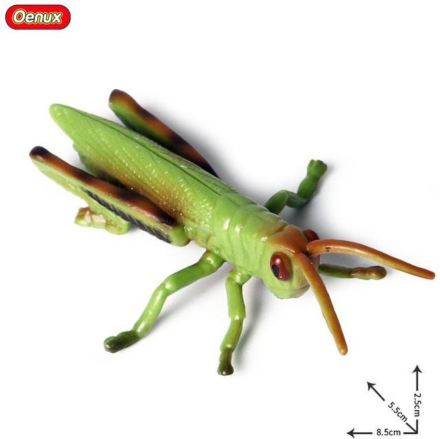 Oenux Wild Insekten Tiere Modell Actionfiguren PVC 3-6 Jahre - Bild 1