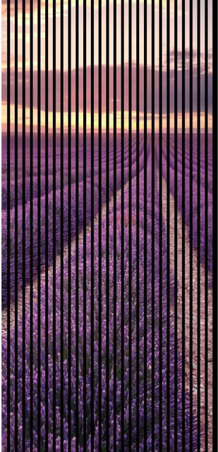 FN Acustico Akustikplatte Lavendel aus PET und MDF, H x B x T: 2.400 x 1.133 x 19 mm - Bild 1
