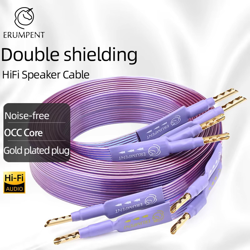 ATAUDIO HiFi-Lautsprecherkabel aus reinem Kupfer mit vergoldeten Bananen-Y-Steckern, flaches Audio-Kabel für Verstärker und CD-Player, Gold und Lila - Bild 2