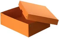 Falken Aufbewahrungsbox PureBox für A4 Dokumente, Farbe: Orange, B/H/T: 24 x 10 x 32 cm - Bild 1