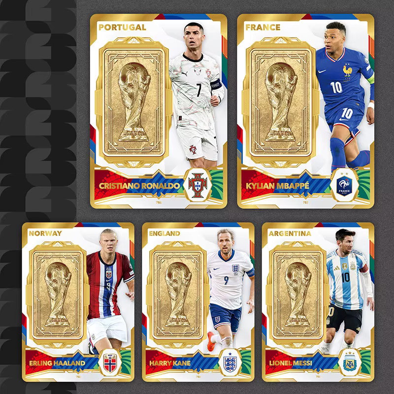 Panini FIFA Weltmeisterschaft Fußballspieler Sammelkarten - Bild 4