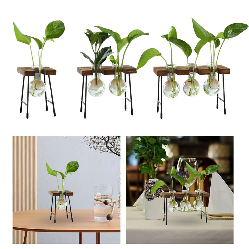 Homyl Hydroponische Glasvase für Tischdekoration, transparente Blumenvase für Wohnzimmer und Esstisch - Bild 4