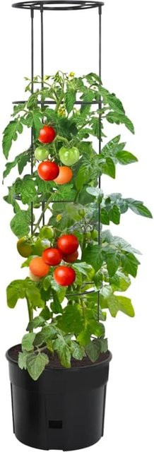 vidaXL Tomatentopf Anthrazit aus Polypropylen B/H: 39 x 150 cm - Bild 1
