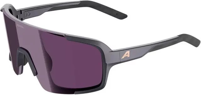 Alpina Lumin Sonnenbrille, Vollrand, rectangular, Kunststoff, grey, Unisex - Bild 1