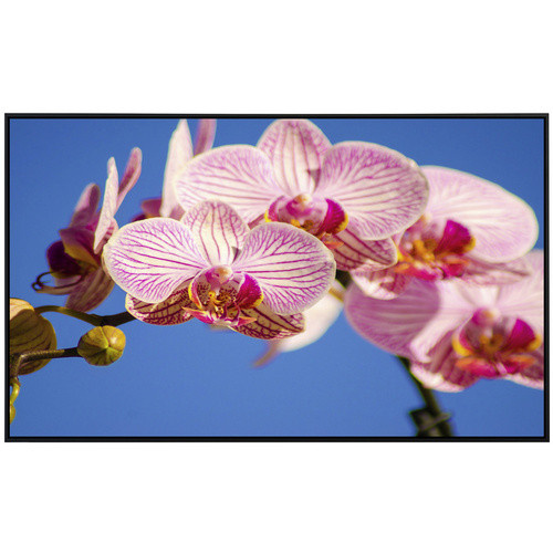 papermoon EcoHeat Infrarotheizung Rosa Phalaenopsis Orchidee mit Matt-Effekt, Bunt, App-Steuerung und Überhitzungsschutz - Bild 2