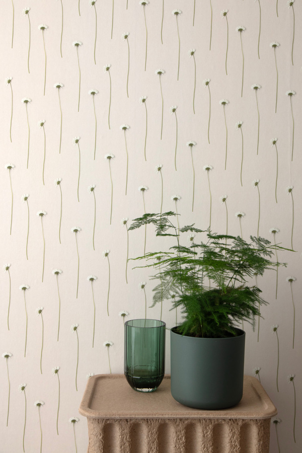 Studio Ditte Tapete Daisies Madeliefjes in Beige und Weiß mit floralem Botanical Design im skandinavischen Stil aus Vlies - Bild 1