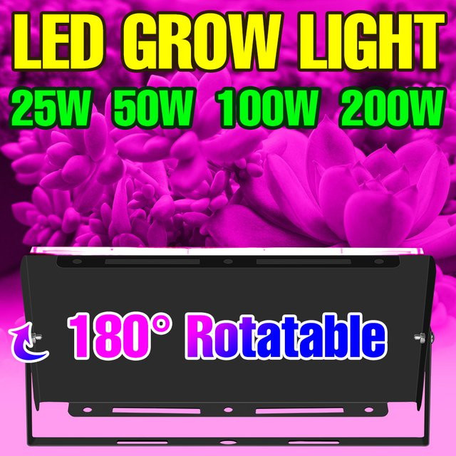 CanLing 200W LED Vollspektrum Pflanzenlampe für Gewächshaus und Zelt, Schwarz - Bild 1