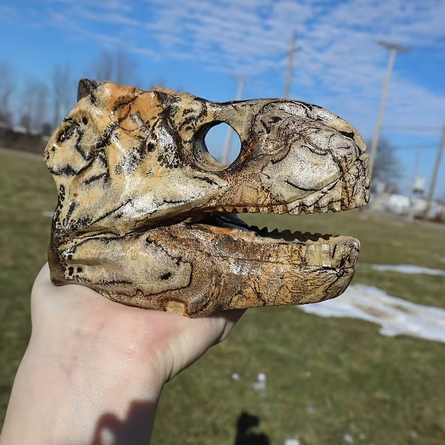 CrystalHola Dinosaurierschädel aus Naturstein mit Bernstein-Optik und kristallähnlicher Textur - Bild 3