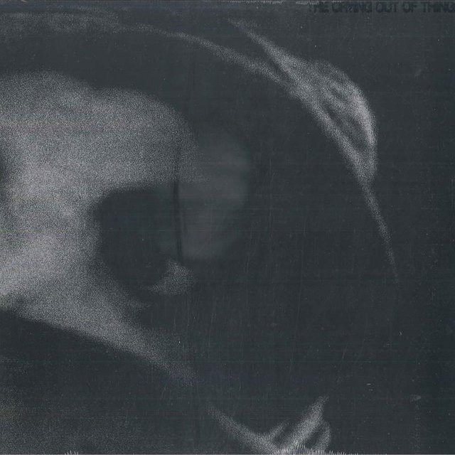 BODY - The Crying Out Of Things, Vinyl/LP, gray - Bild 1
