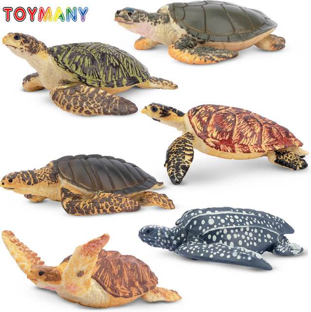 Toymany Meeresschildkröte Figuren, Ozean Tier Modell, 6-teiliges Set - Bild 1