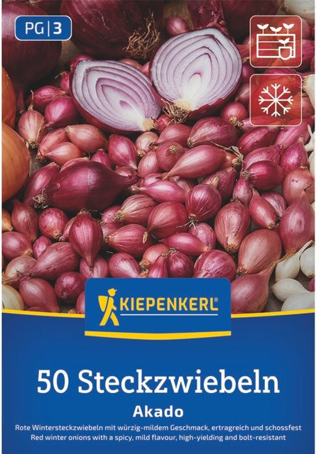 Kiepenkerl Rote Wintersteckzwiebel Akado, 50 Stück - Bild 1