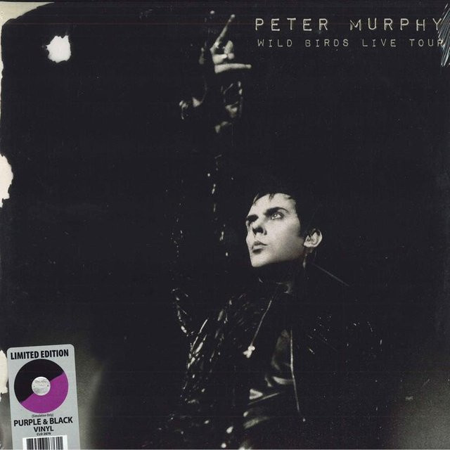 Peter Murphy - Wild Birds Live Tour LP Schallplatte auf farbigem Vinyl in Grau, Cleopatra Records, 2022 - Bild 1