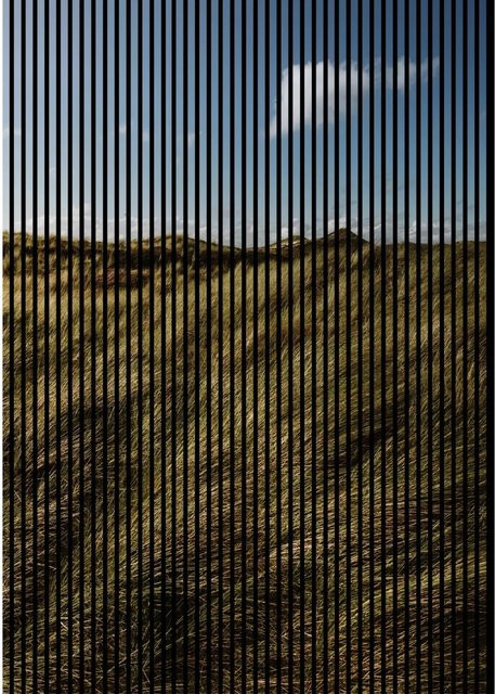 FN Acustico Akustikplatte Gras Bunt aus PET und MDF, B/H/T: 169,3 x 240,0 x 1,9 cm - Bild 1