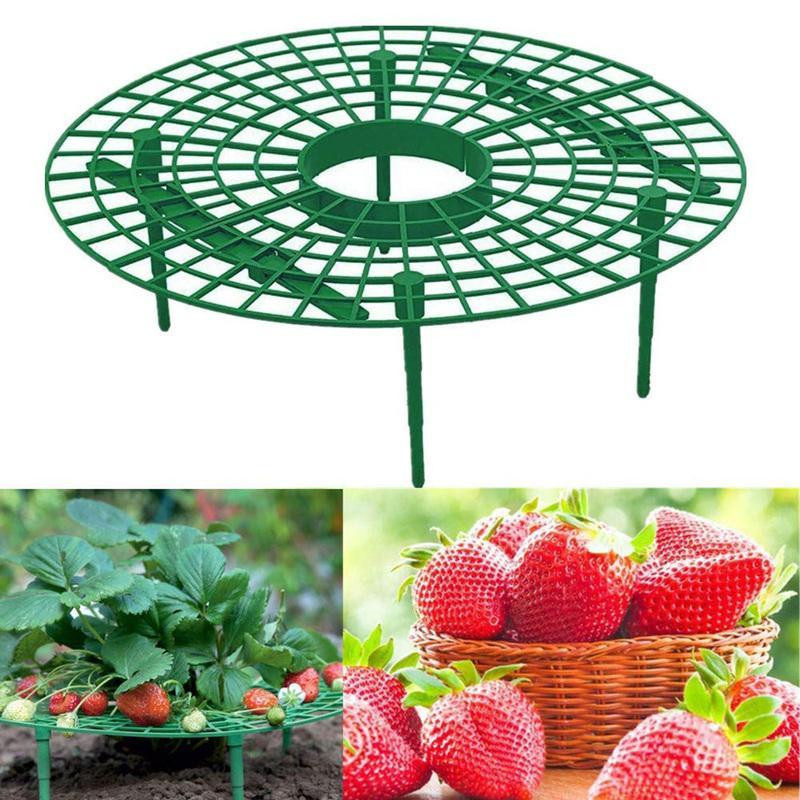 WTEMPO Erdbeerständer aus Kunststoff in Grün, Pflanzregal für Balkon und Garten zur Unterstützung von Kletterpflanzen, Höhe: 30 cm, Breite: 30 cm, Tiefe: 30 cm - Bild 3