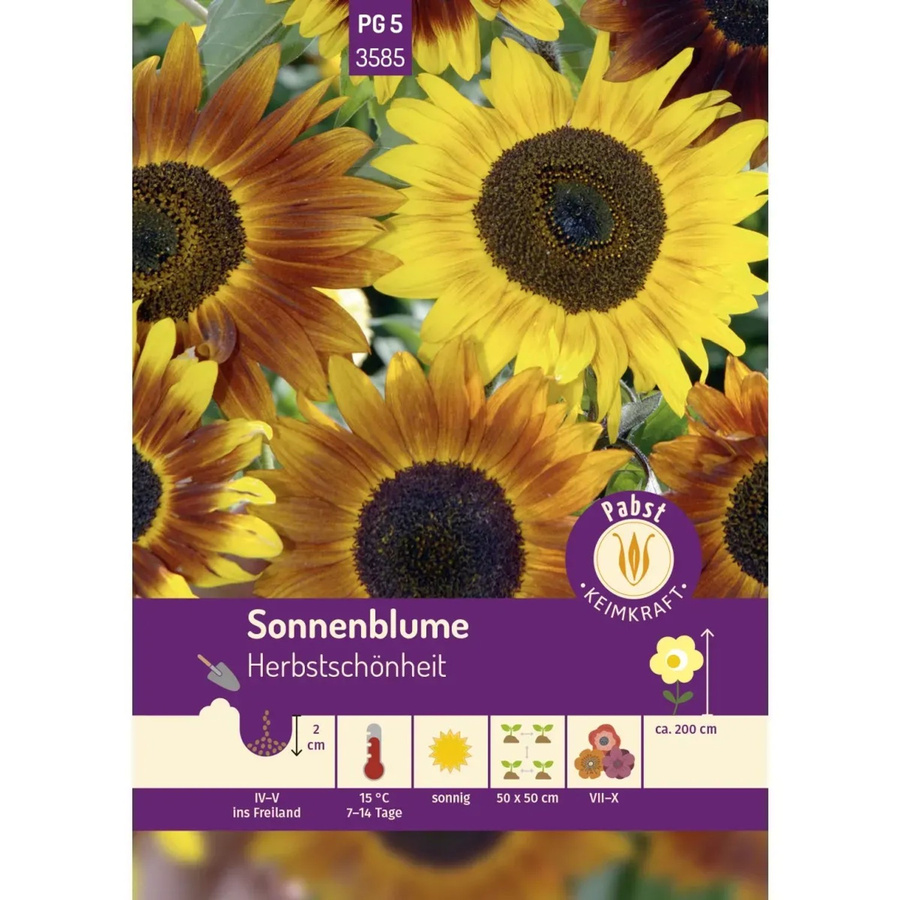 Pabst Keimkraft Sonnenblume Herbstschönheit Saatgut - Bild 2