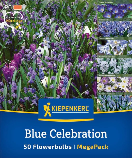 Kiepenkerl Mega Pack Blue Celebration Blumenzwiebeln, 50 Stück, bunt - Bild 1