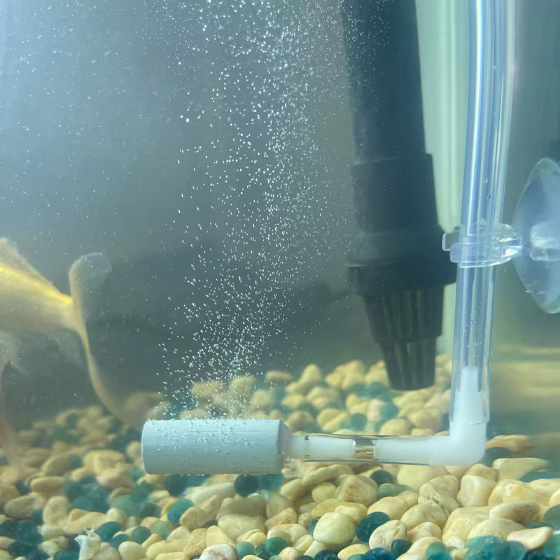 Hoeaden Aquarium CO2-Diffusor-System mit Regler, Zerstäuber und Sprüher für Aquarienpflanzen und Fischgesundheit - Bild 2
