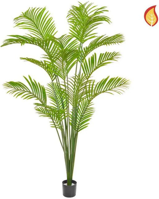 Künstliche Areca Palme Norman von Aplanta, Höhe: 180 cm - Bild 1