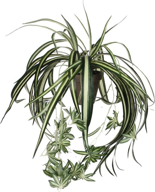 Mica Decorations Kunstpflanze Chlorophytum in Grün im Terrakotta Topf, Höhe: 45 cm, Durchmesser: 45 cm - Bild 1