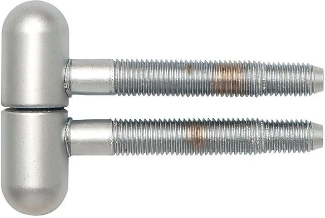 SFS Einbohrband 3-fach Rundkopf aus Stahl, verchromt matt, Durchmesser: 16 mm - Bild 1
