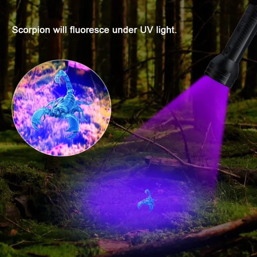 NEWBIRTH UV-Taschenlampe Schwarzlicht-Detektor mit 9/12 LED für Haustier-Urin, Skorpione und Schmuckinspektion, Farbe: Schwarz - Bild 2