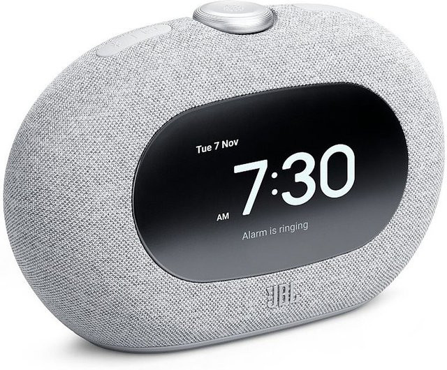 JBL Horizon 3 Bluetooth-Lautsprecher mit Pro Sound in Grau - Bild 1